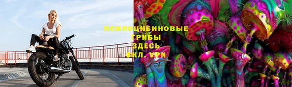 кокаин премиум Магас