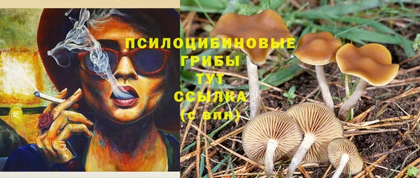 Альфа ПВП Лиски