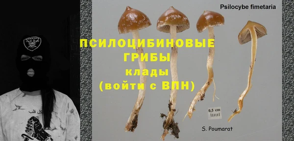 ешки Майский